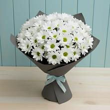 Букет цветов из:  Хризантемы #REPLACE_PRED# Латной