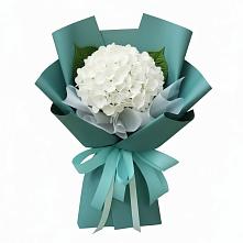 Букет цветов из:  Гортензия в Латной